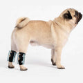 Small Dog Rear Leg Support Splint Braces X6721