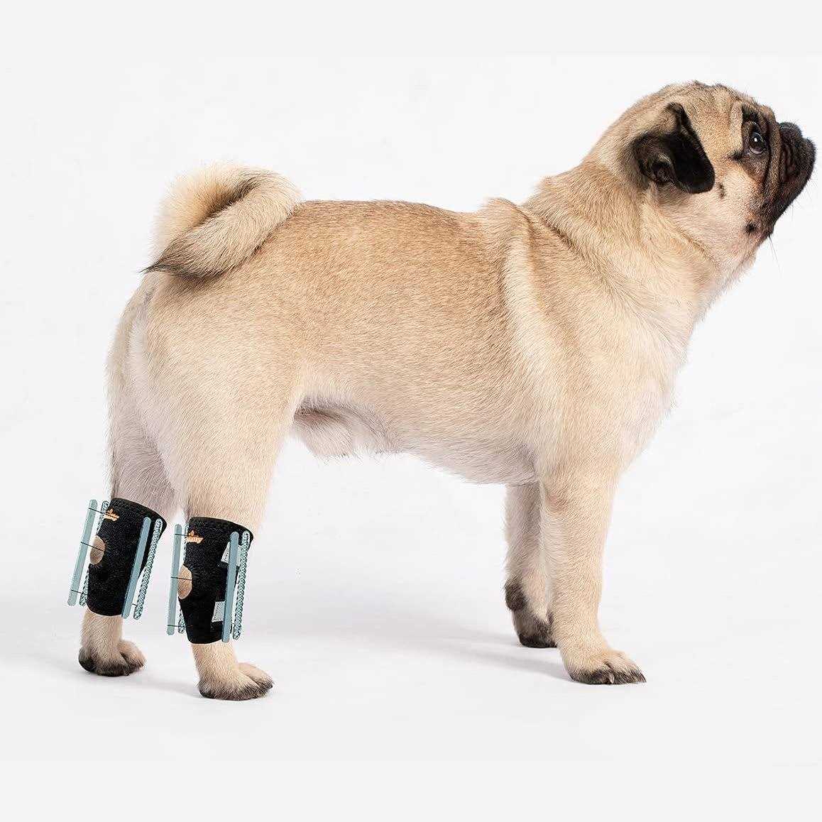 Small Dog Rear Leg Support Splint Braces X6721