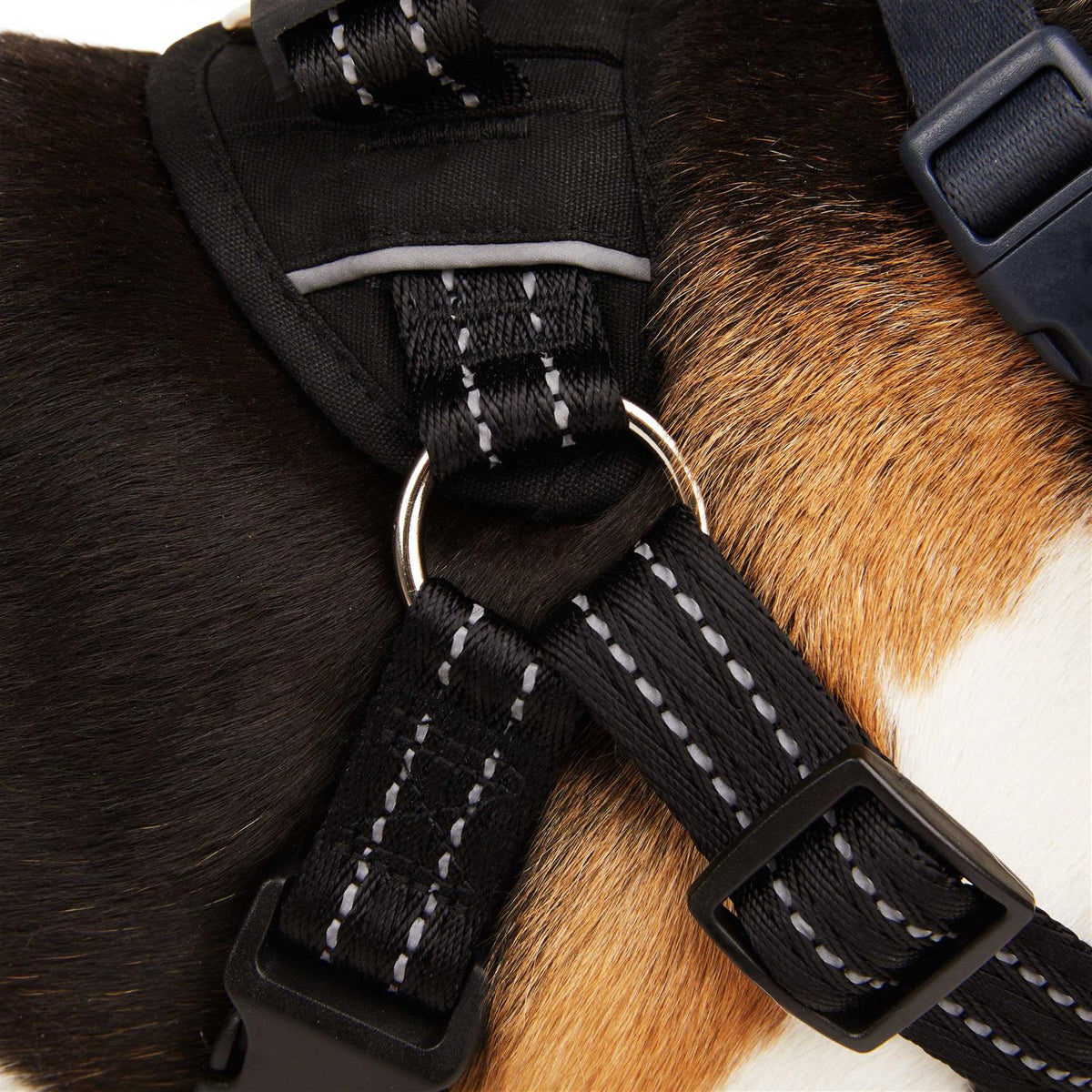 Easy On Training Dog Harness F73186