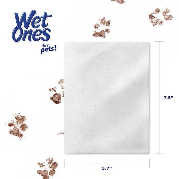 Wet Ones Wipes F744313
