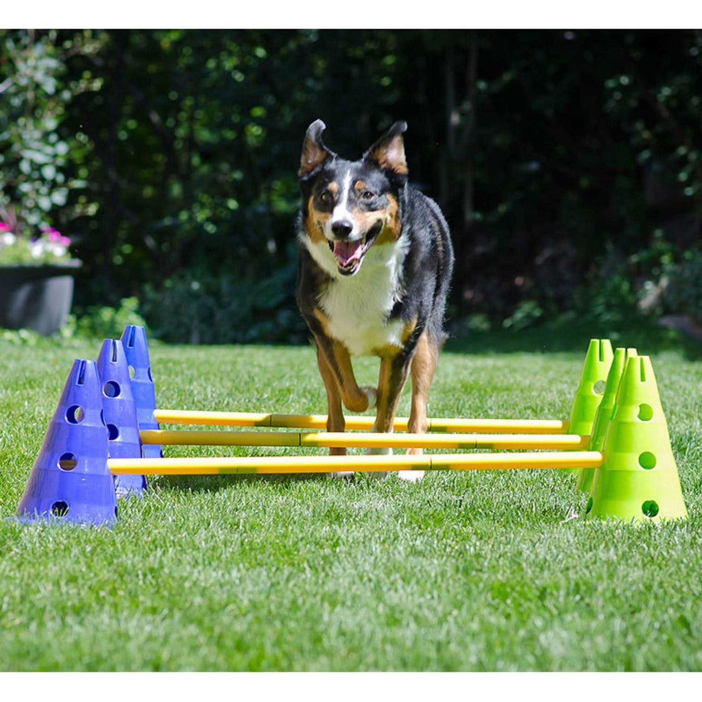 Dog Agility Kit D961170