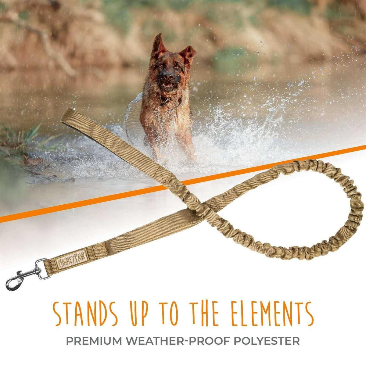 Dual Handle Dog Leash L14323