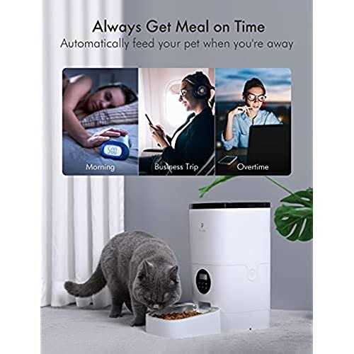 Automatic Cat Food Dispenser D165