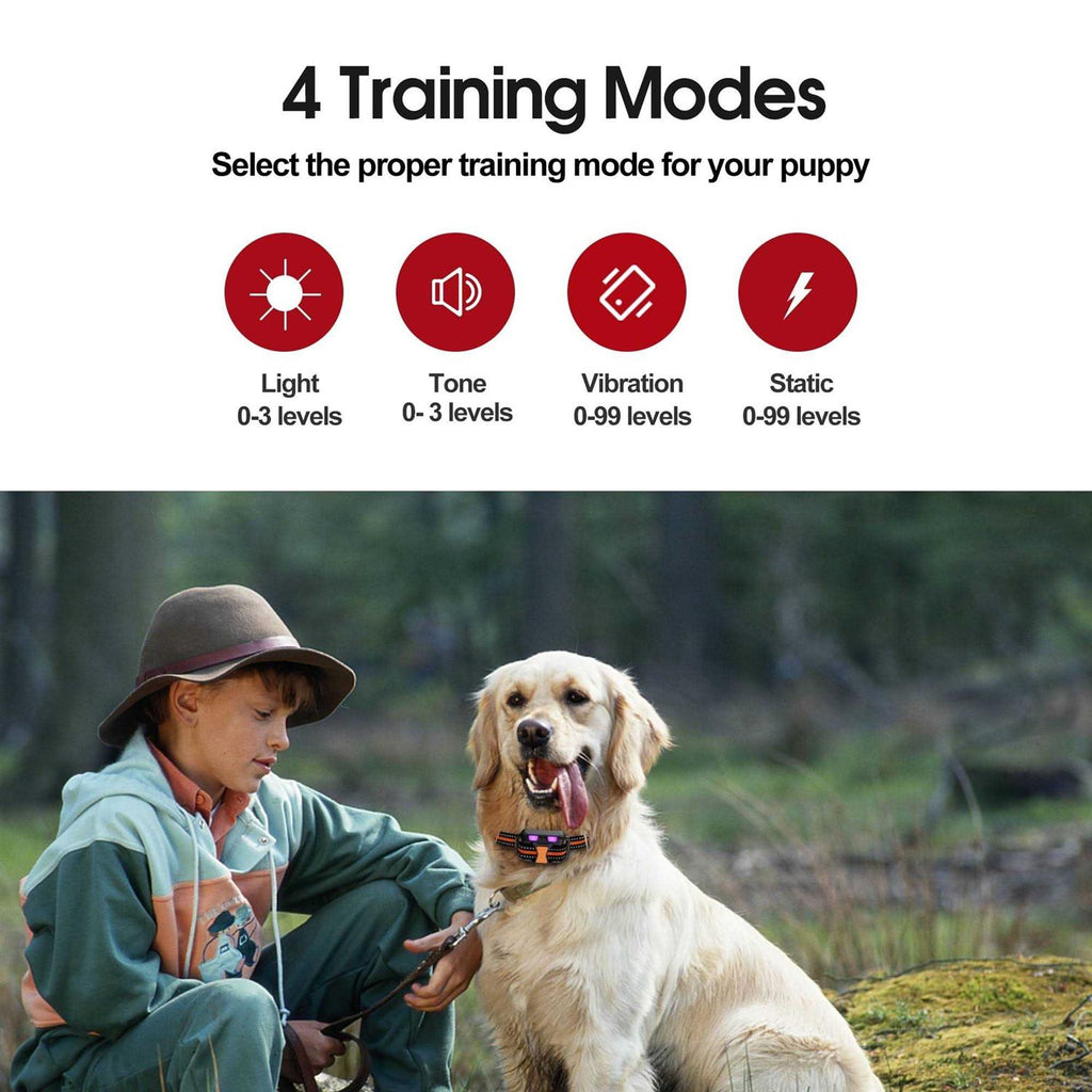 Remote Training Dog Collar G46788