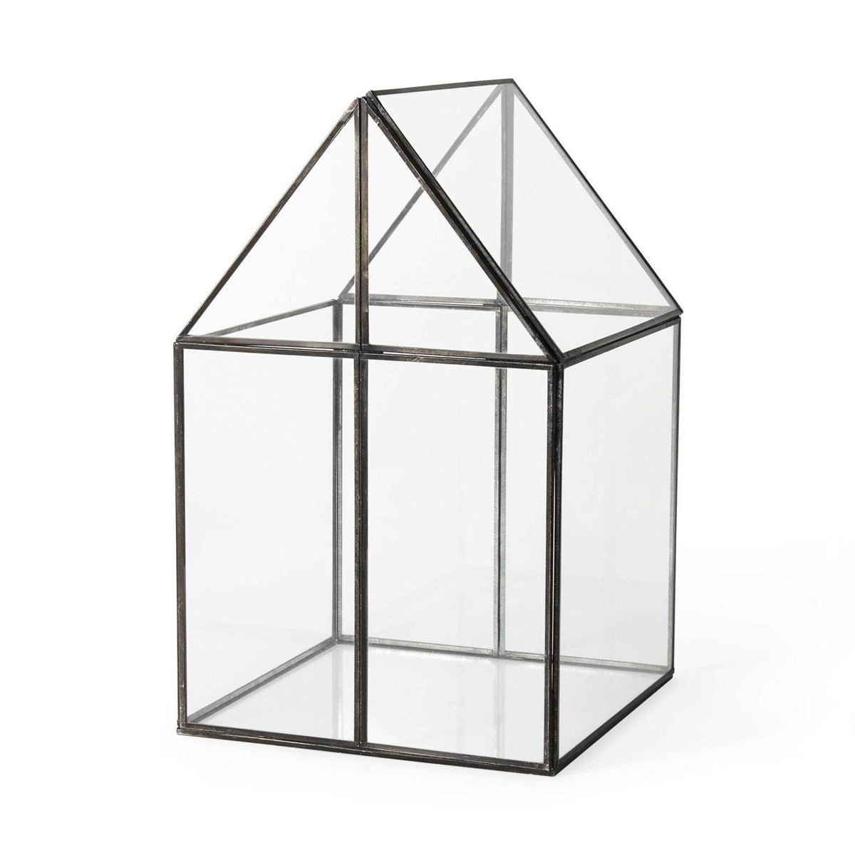 Glass Terrarium F346