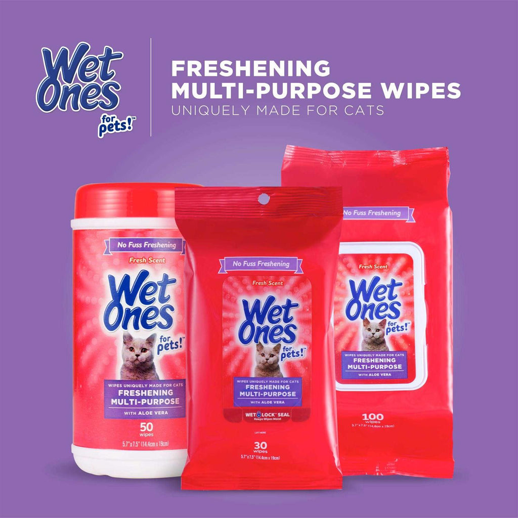 Wet Ones Wipes F744313