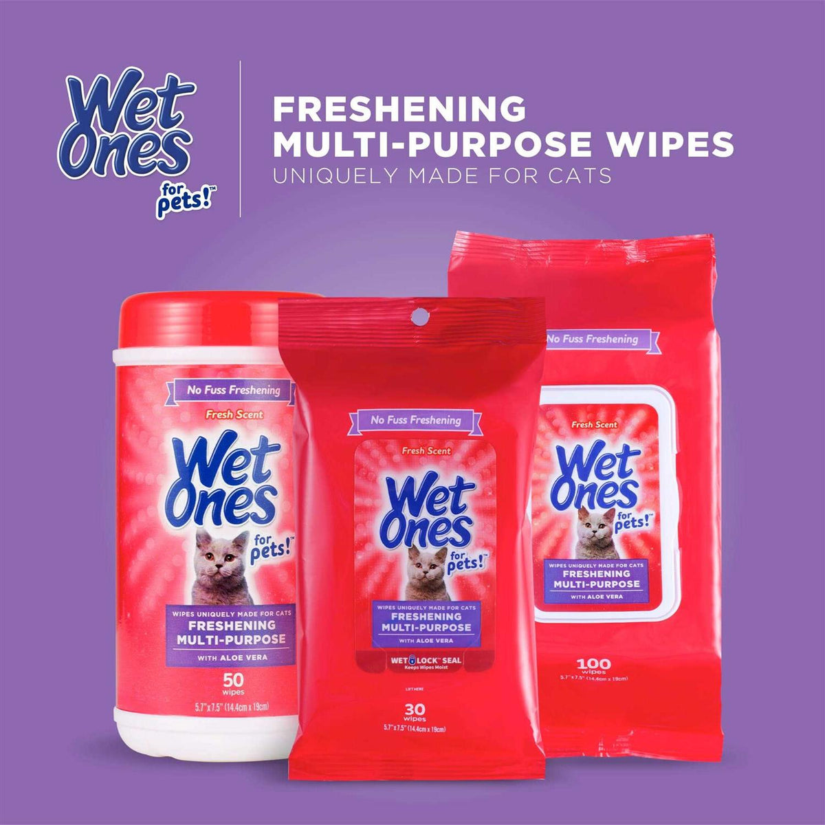Wet Ones Wipes F744313
