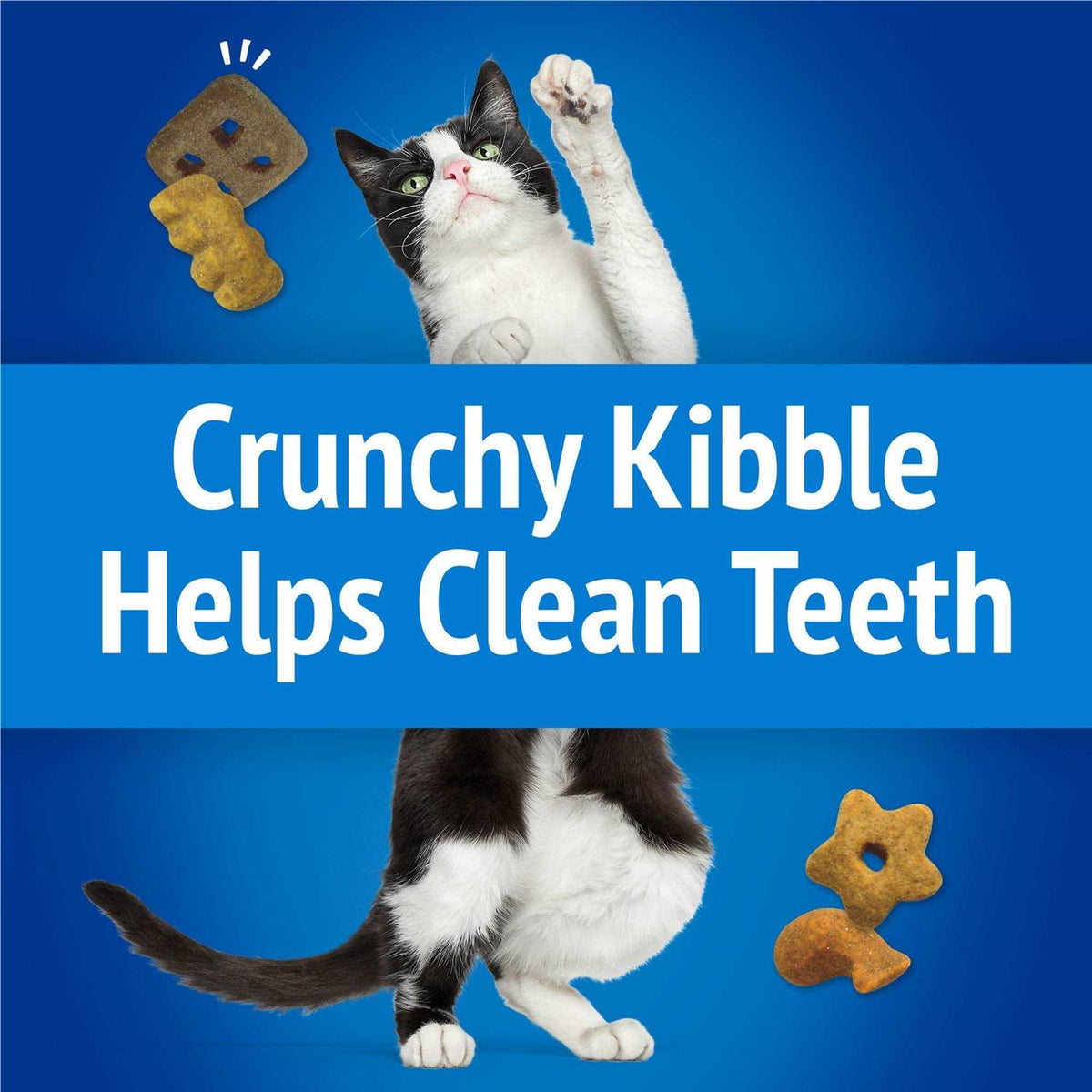 Cat Treats N230
