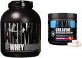 Whey Isolate Protein Powder and Creatine Monohydrate Chews R51020