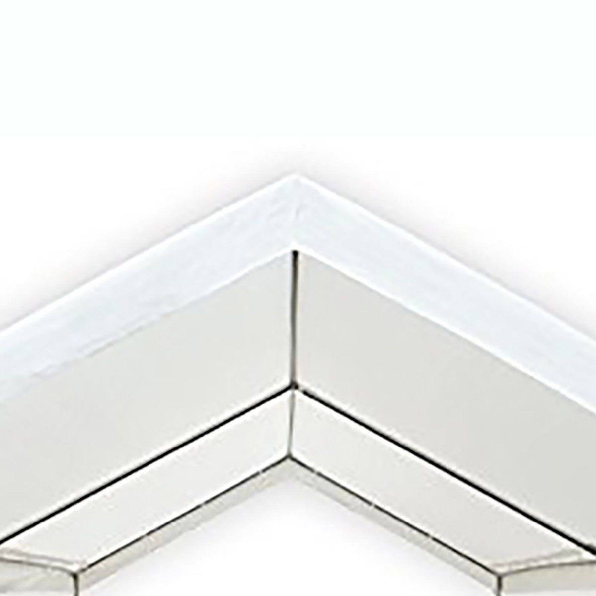 Heavy Duty 10 x 20 White Canopy Tent Carport S181425