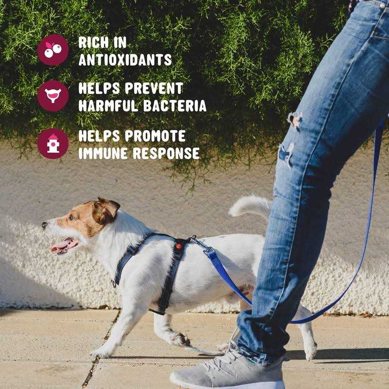 Cranberry Supplement for Dogs J637