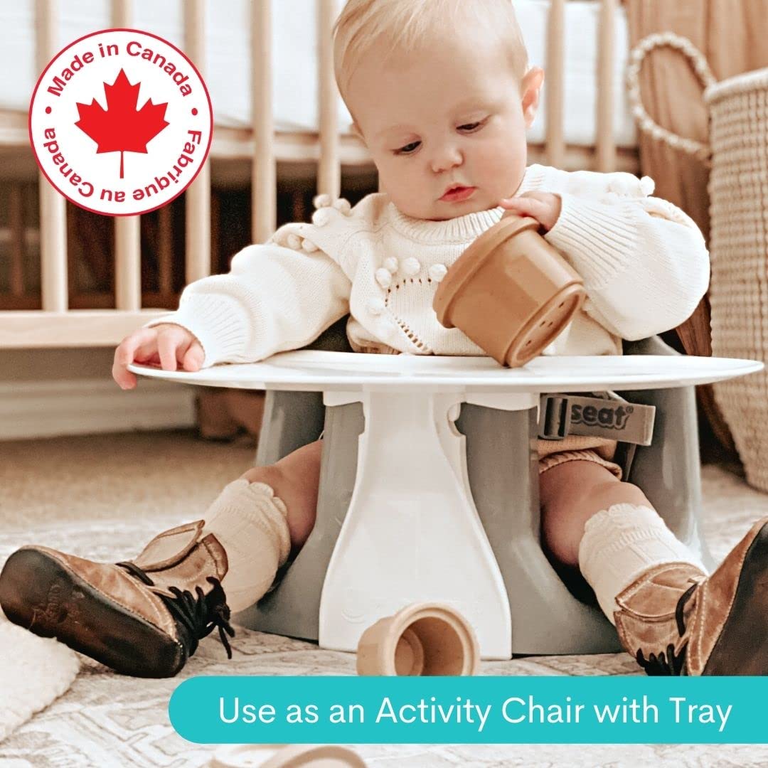Baby Chair Booster Seat with Tray W3746
