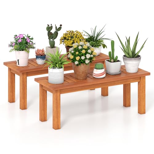 Wooden Plant Stand with Teak Oil Finish E932