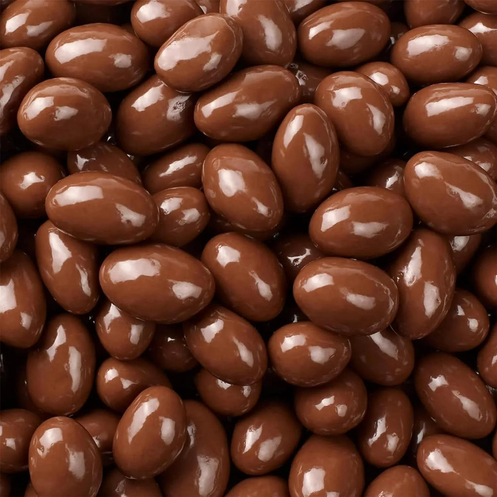 Sugar Free Milk Chocolate Covered Almonds 1 Pound Pack Z956