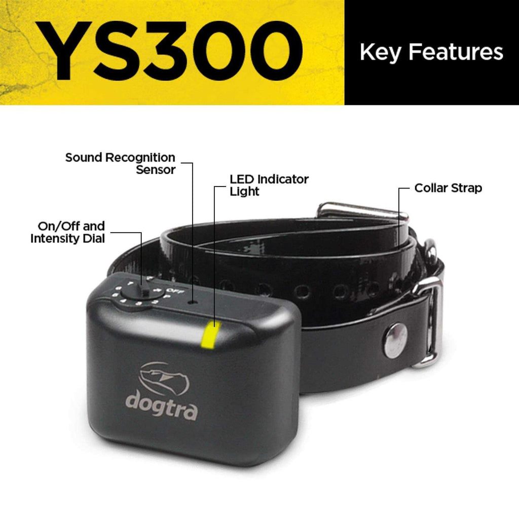 No Bark Collar Z53872
