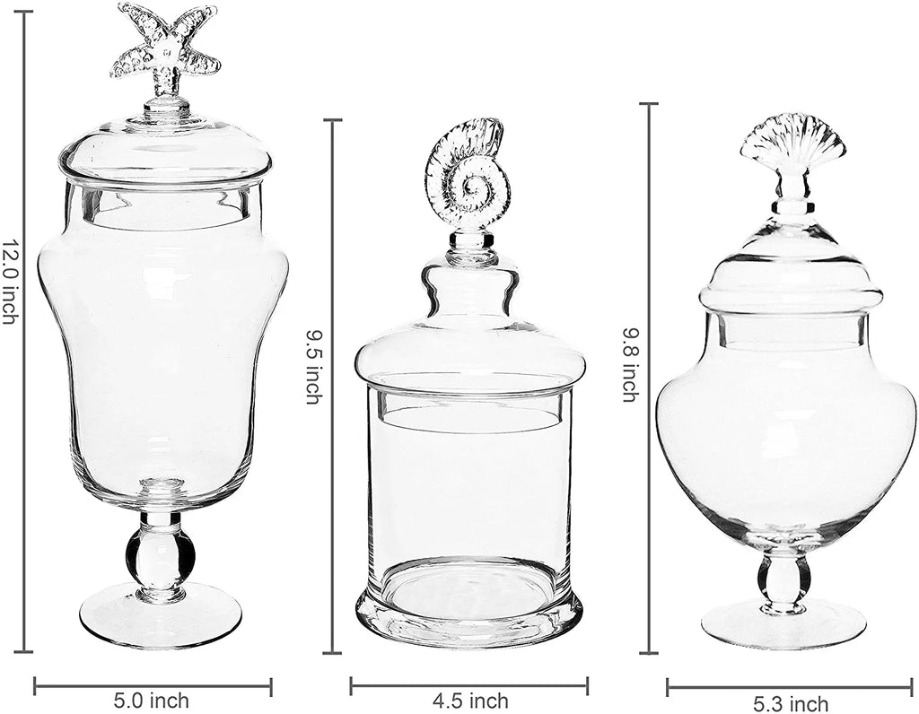 Clear Glass Set of 3 Apothecary Jars D35791