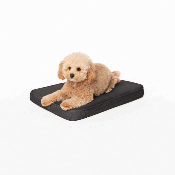 Memory Foam Crate Pad & Dog Bed Z189