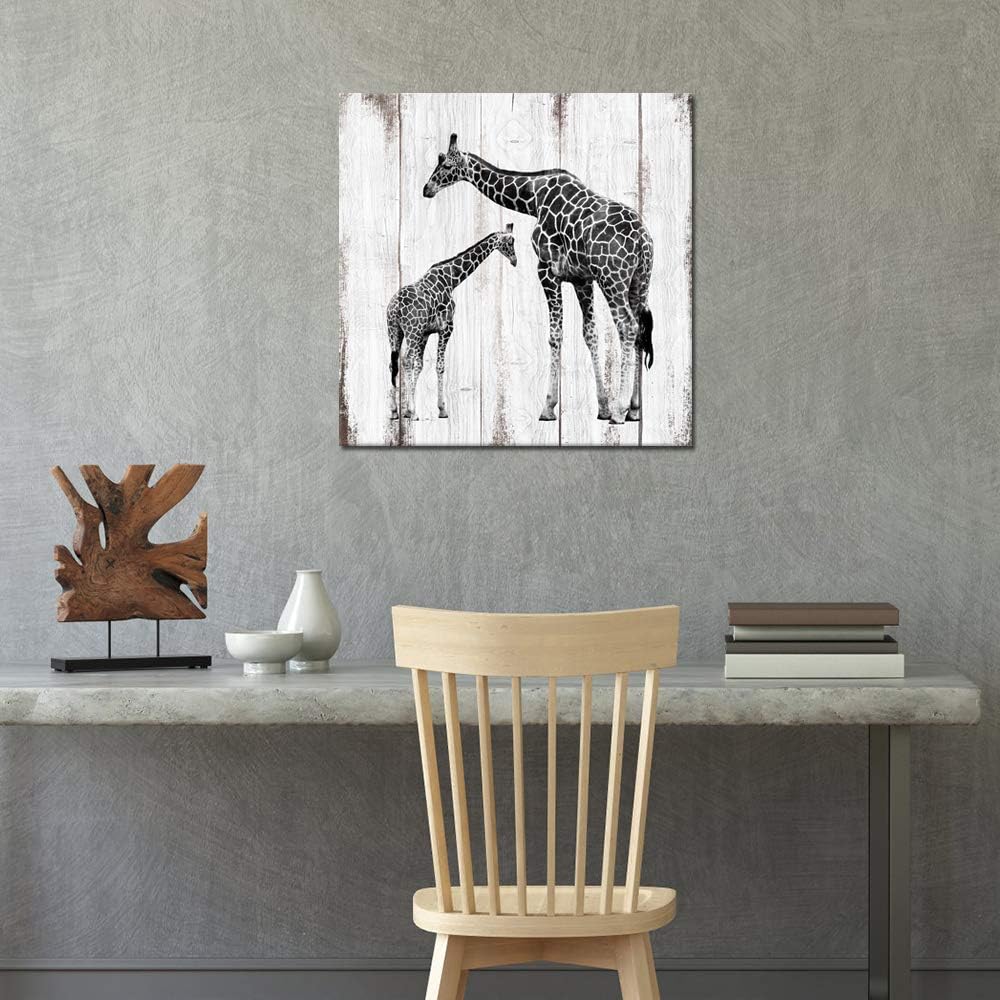 Black and White Giraffe Canvas Prints 24x24 H449
