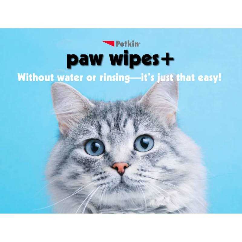 Chlorhexidine Antiseptic Dog & Cat Wipes W7461
