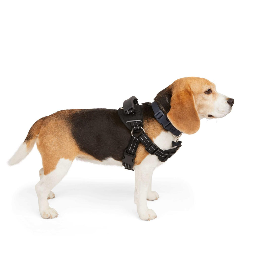 Easy On Training Dog Harness F73186