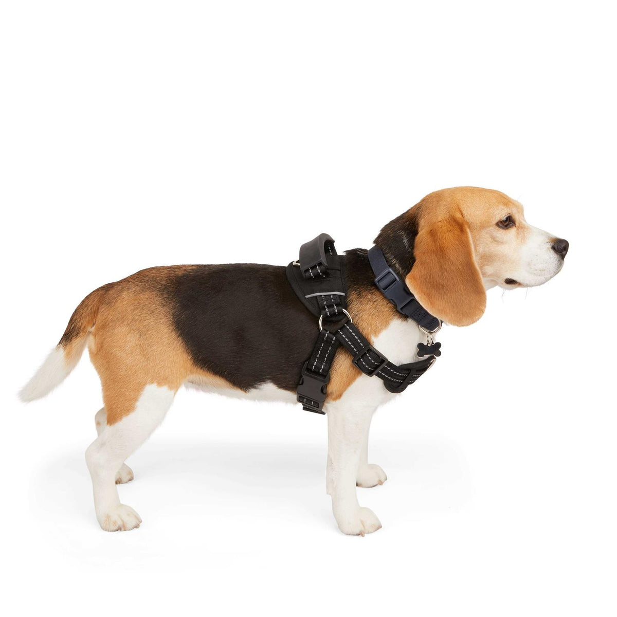 Easy On Training Dog Harness F73186