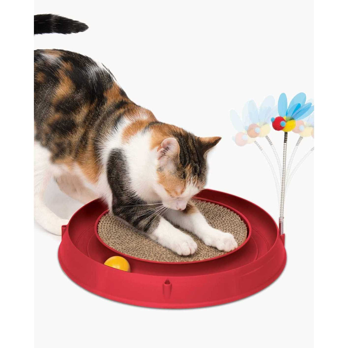 Circuit Ball Cat Toy U510