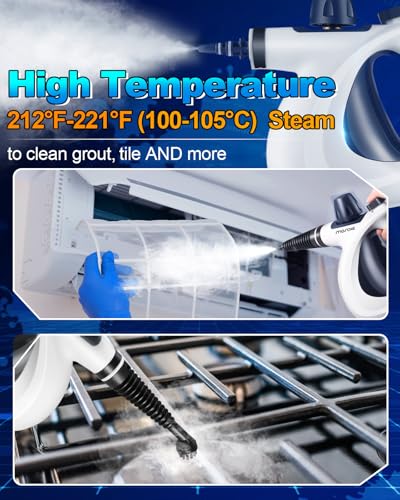 Handheld Pressurized Steam Cleaner with 11-Piece Accessory Set R147538