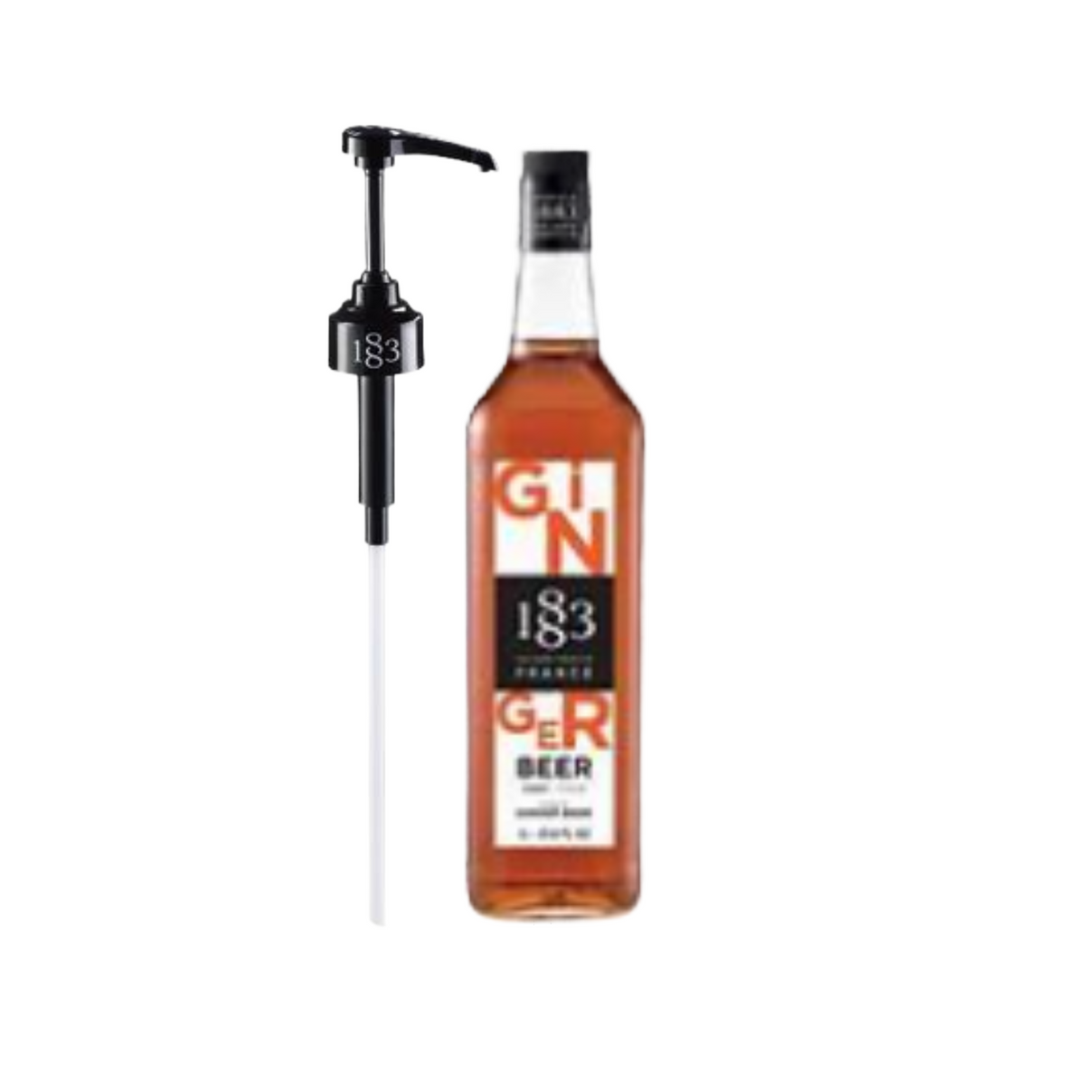 1883 Maison Routin Ginger Beer 1L Plus Pump K514028