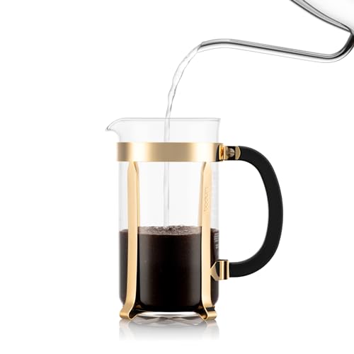 34oz Borosilicate Glass French Press Coffee Maker T4982