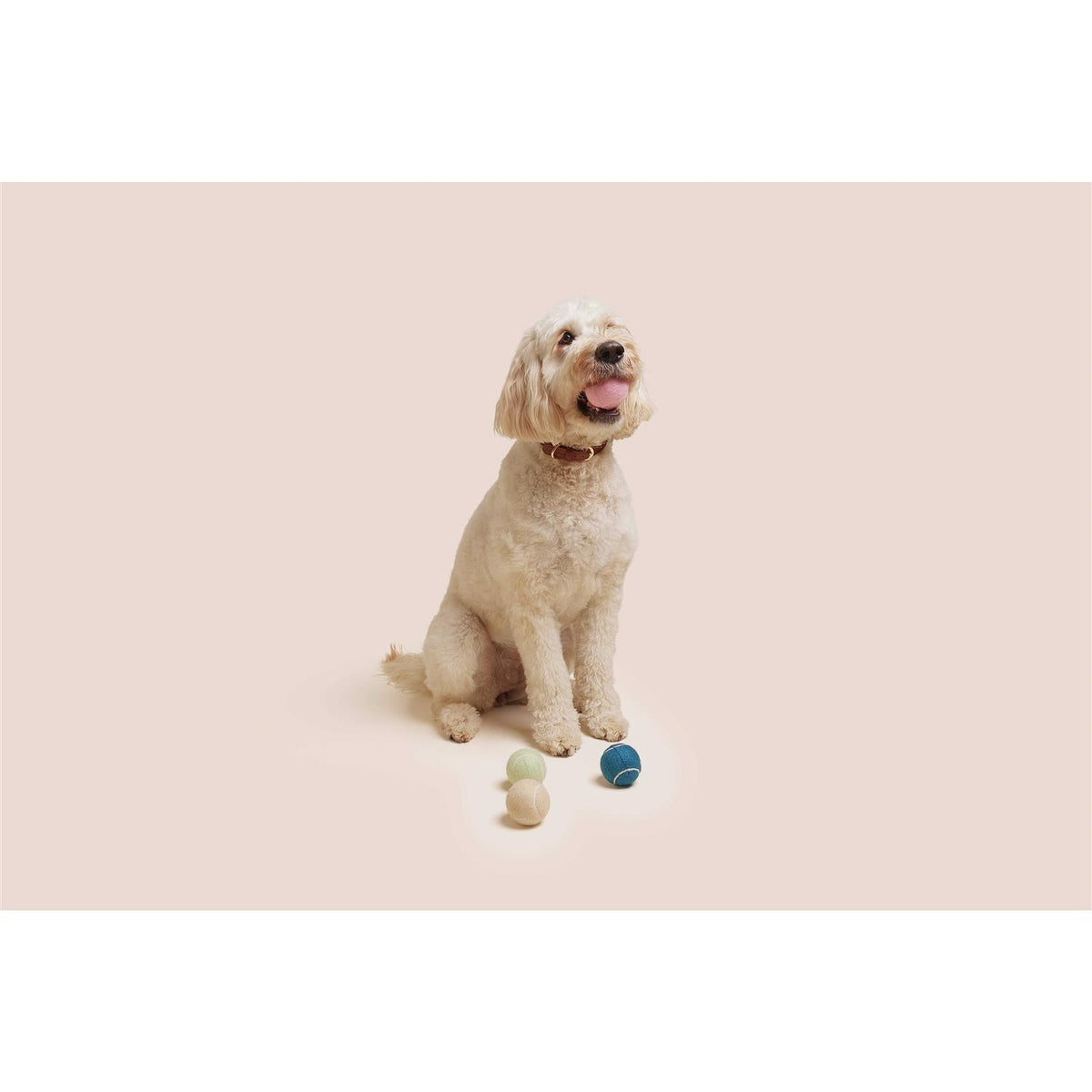 Dog Tennis Balls N164