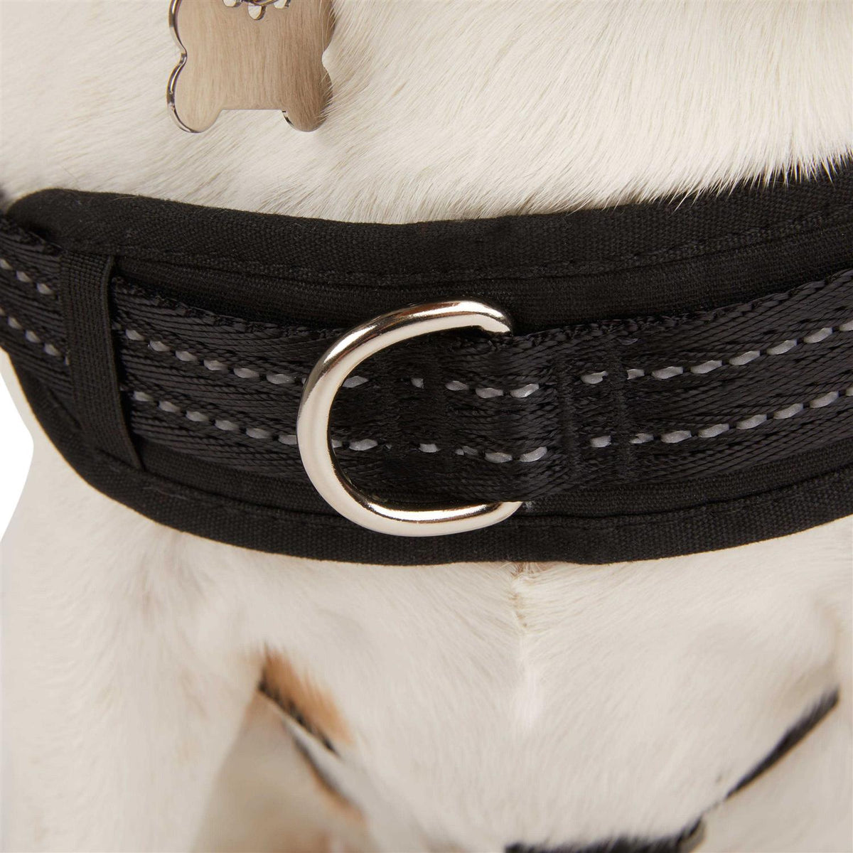 Easy On Training Dog Harness F73186