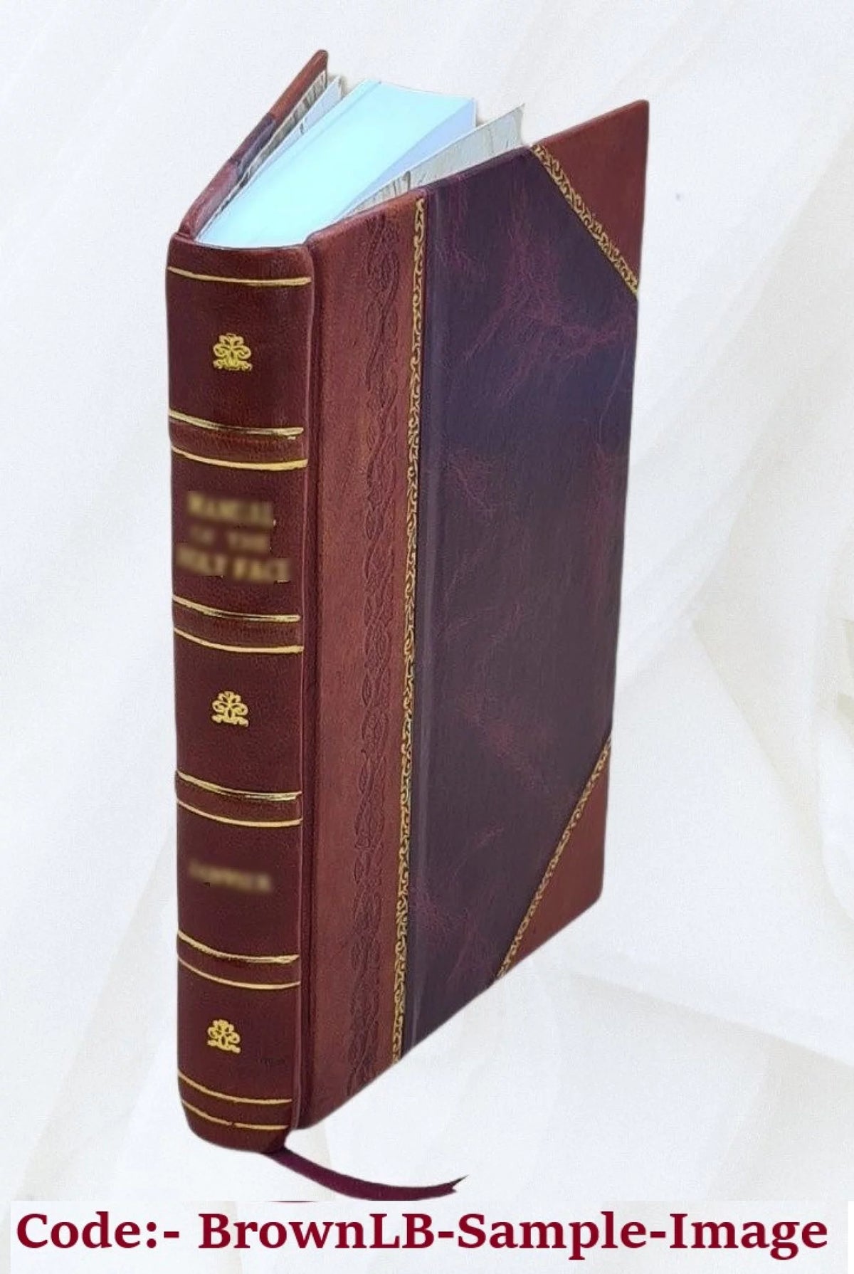 Mexiko Ereignisse 1868 Leather Bound V1511