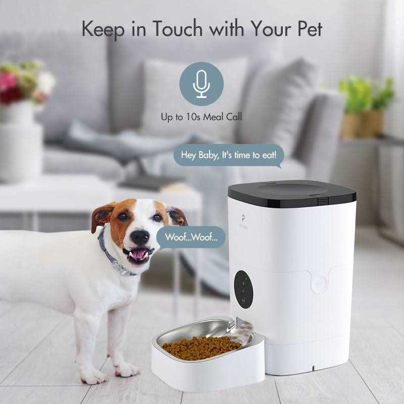 Automatic Cat Food Dispenser D165