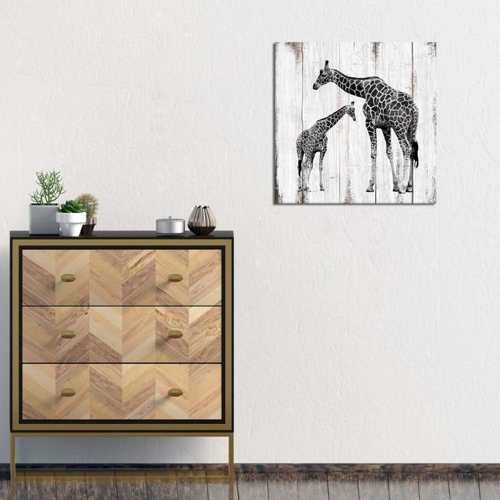 Black and White Giraffe Canvas Prints 24x24 H449