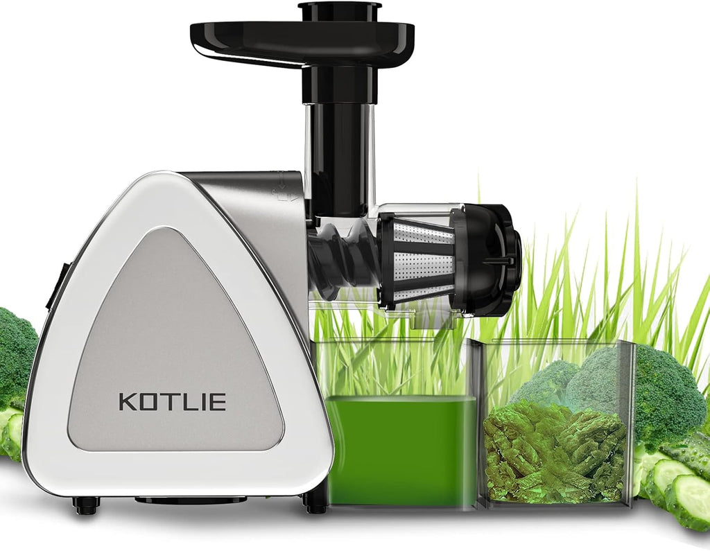 Silver Slow Masticating Juicer with Brush J3466