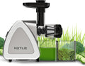 Silver Slow Masticating Juicer with Brush J3466