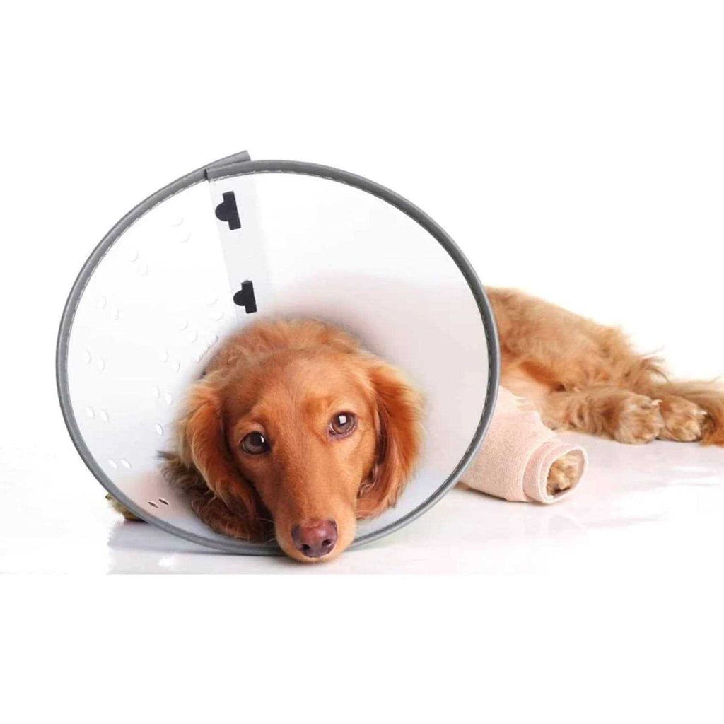 XL E-Collar I940497