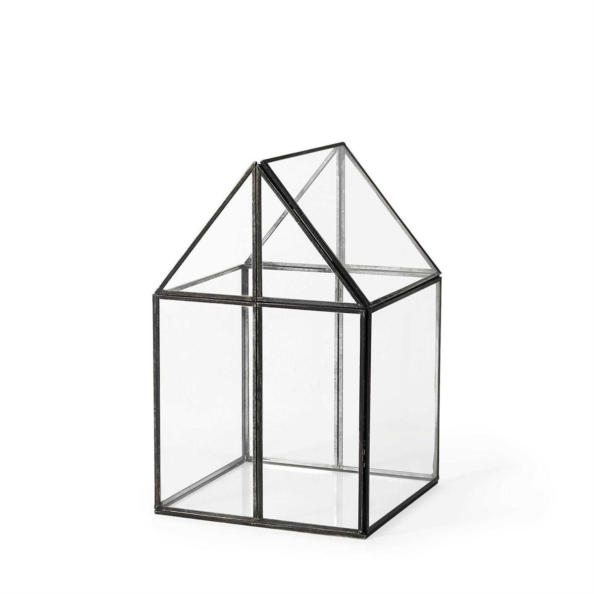 Glass Terrarium F346