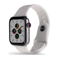 Silver Titanium 41MM Smartwatch F280