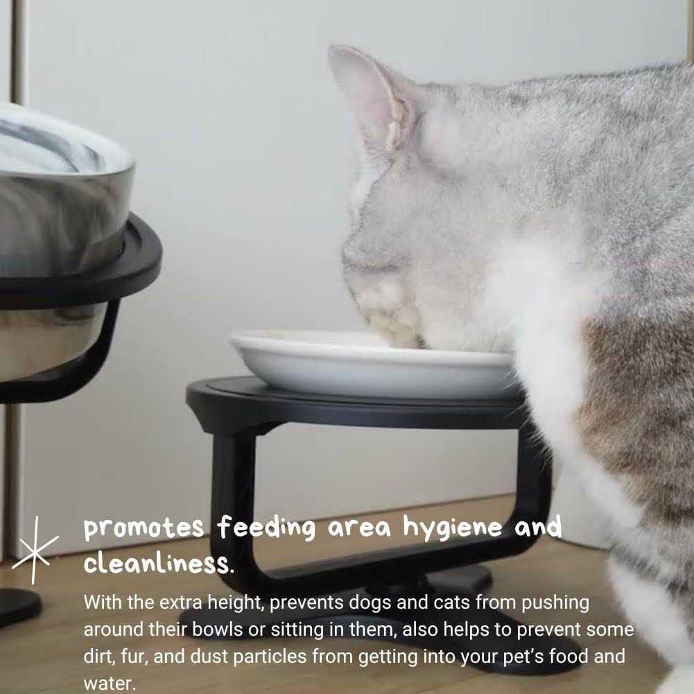 Adjustable Raised Cat Food Bowl Q491