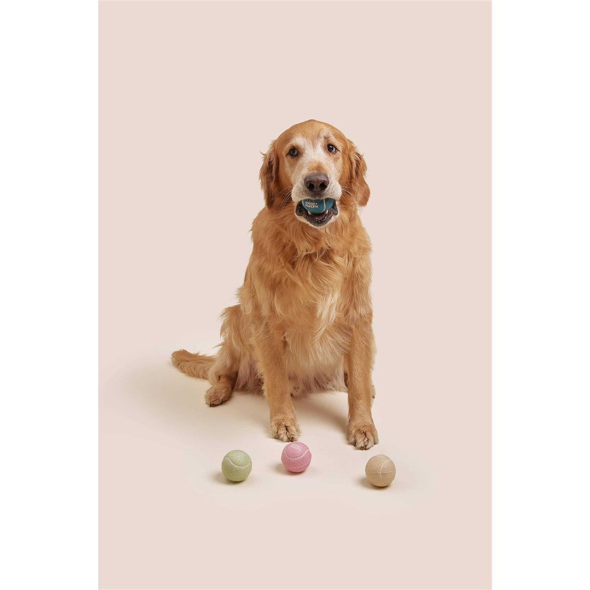 Dog Tennis Balls N164