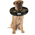 Dog & Cat Recovery Collar U943