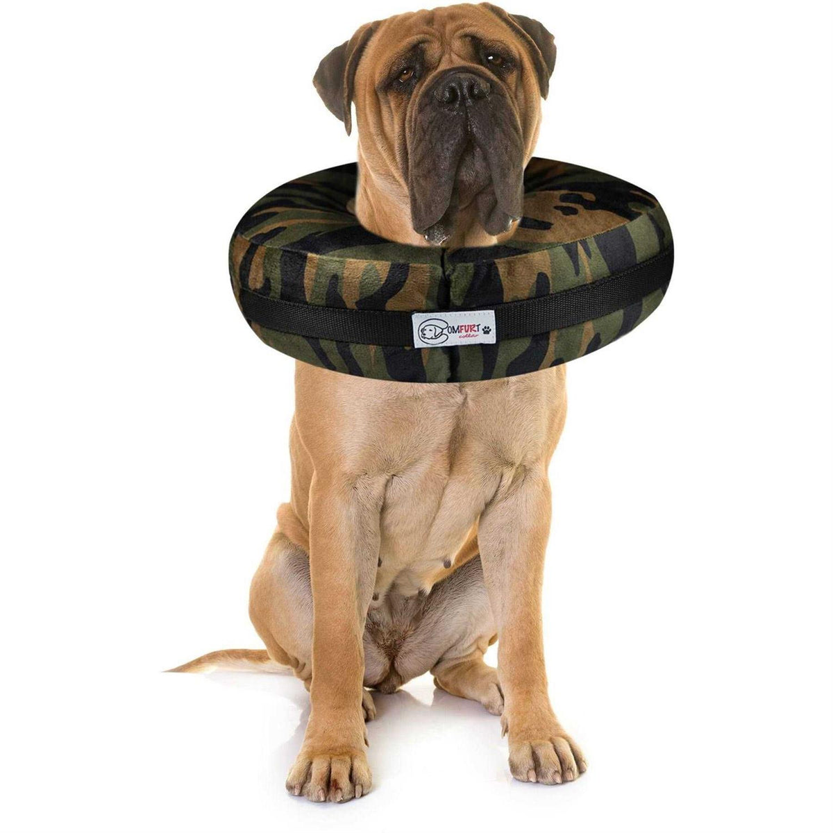 Dog & Cat Recovery Collar U943
