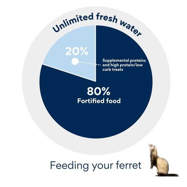Ferret Formula Pet Supplies A490