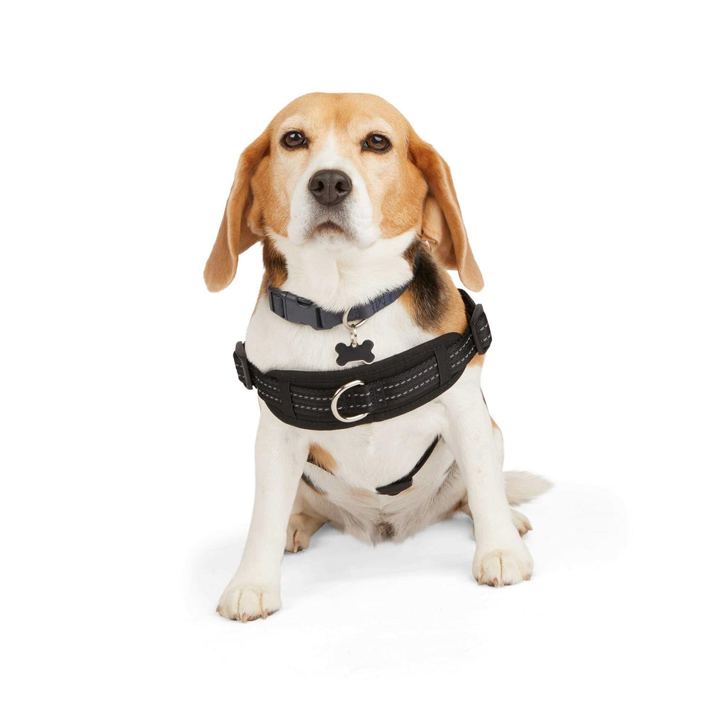 Easy On Training Dog Harness F73186