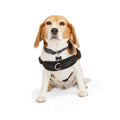 Easy On Training Dog Harness F73186