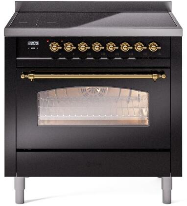 36 Induction Range with Electric Oven in Glossy Black with Brass Trim B677