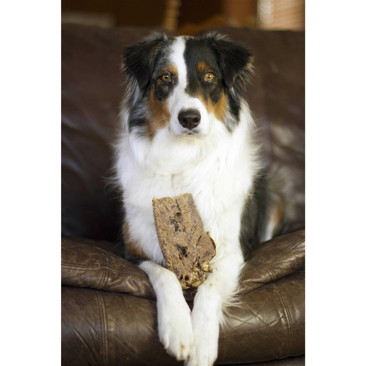 Dog Treats S9850
