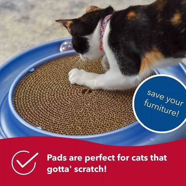 Turbo Scratcher Replacement Pads H799636