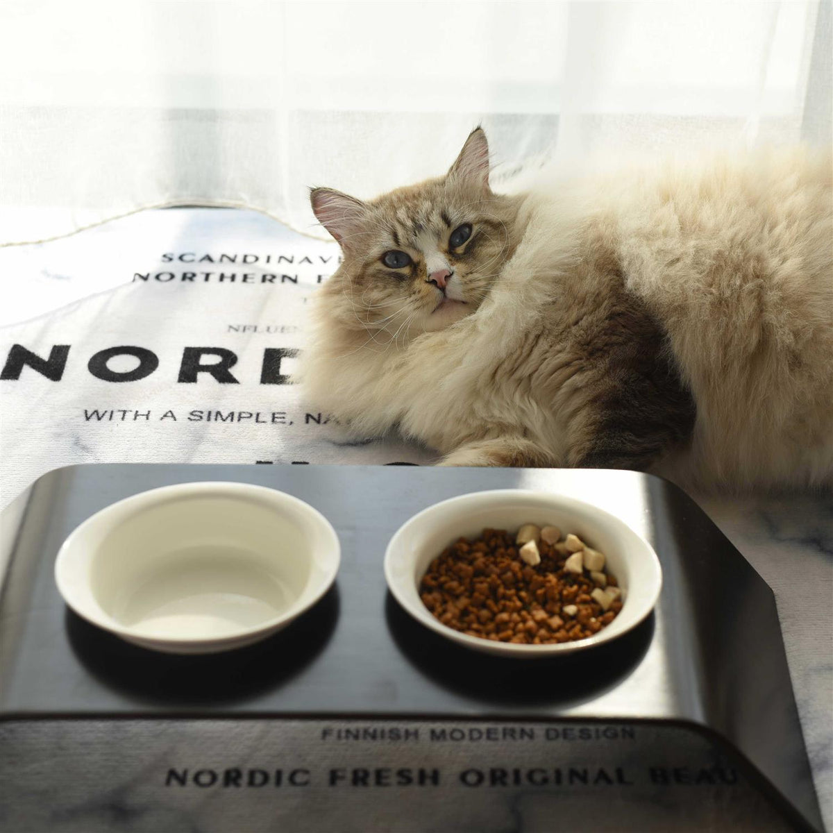 Pet Food Table T3603